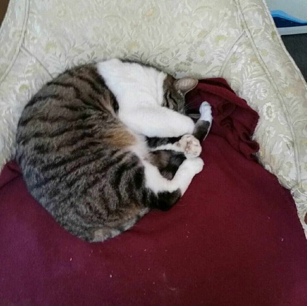 Meet your Posher, John